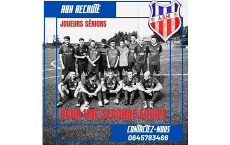ABH RECRUTE EN SENIOR